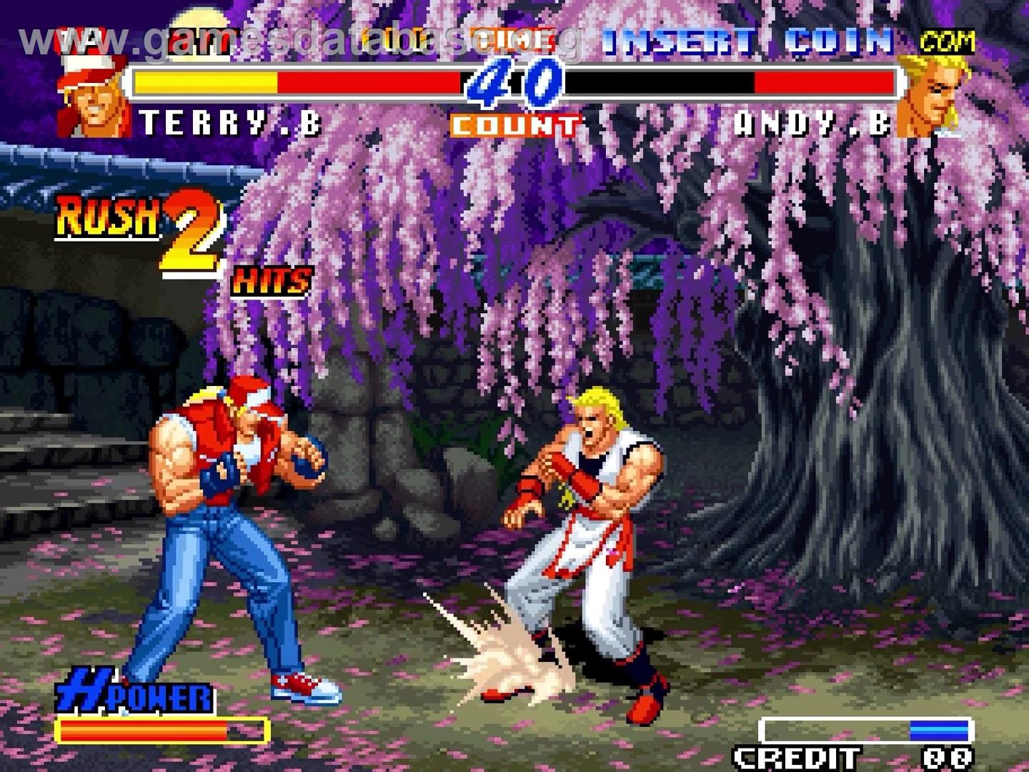 Real Bout Fatal Fury 2 - The Newcomers - Arcade - Artwork - In Game