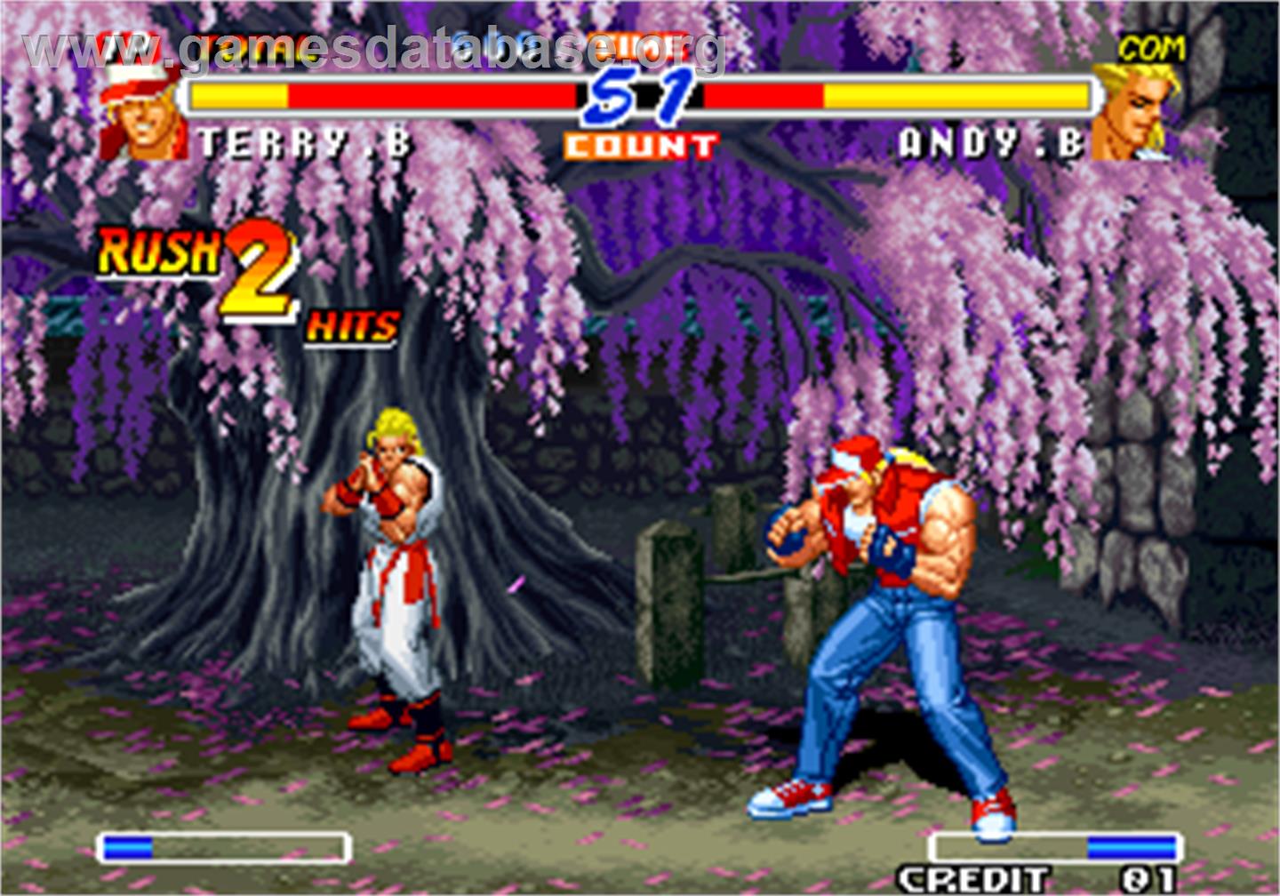 Real Bout Fatal Fury 2 - The Newcomers - Arcade - Artwork - In Game