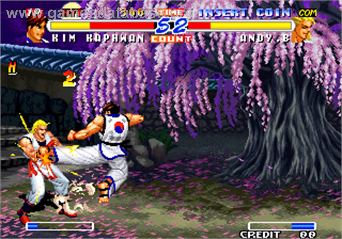 Real Bout Fatal Fury 2 - The Newcomers / Real Bout Garou Densetsu 2 - the newcomers - Arcade - Artwork - In Game