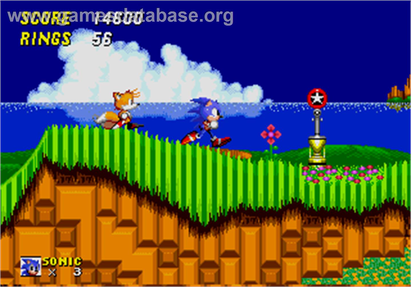 Sonic The Hedgehog 2 - Arcade - Artwork - In Game