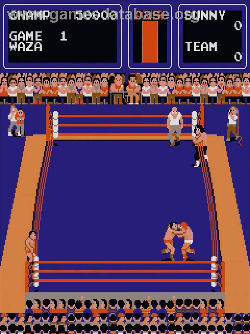 Tag Team Wrestling - Arcade - Artwork - In Game