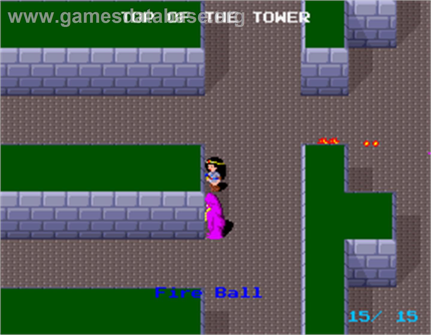 The Return of Ishtar - Arcade - Artwork - In Game