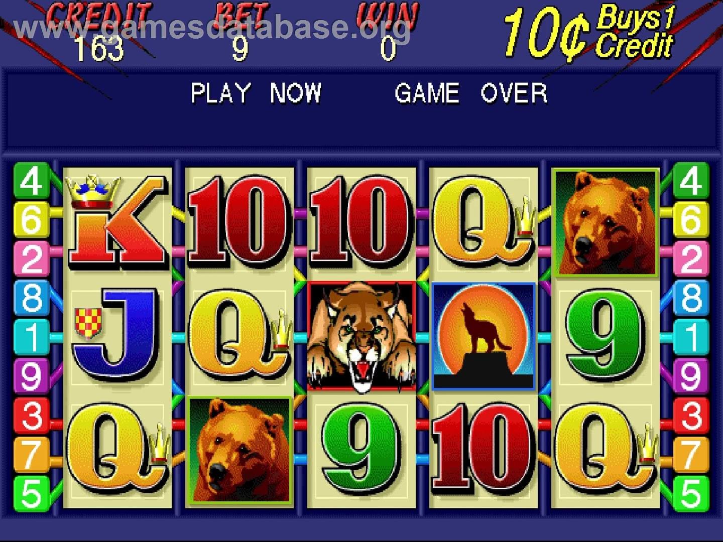 Wild Cougar - Arcade - Artwork - In Game