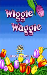 Title screen of Wiggie Waggie on the Arcade.