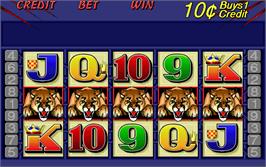 Title screen of Wild Cougar on the Arcade.