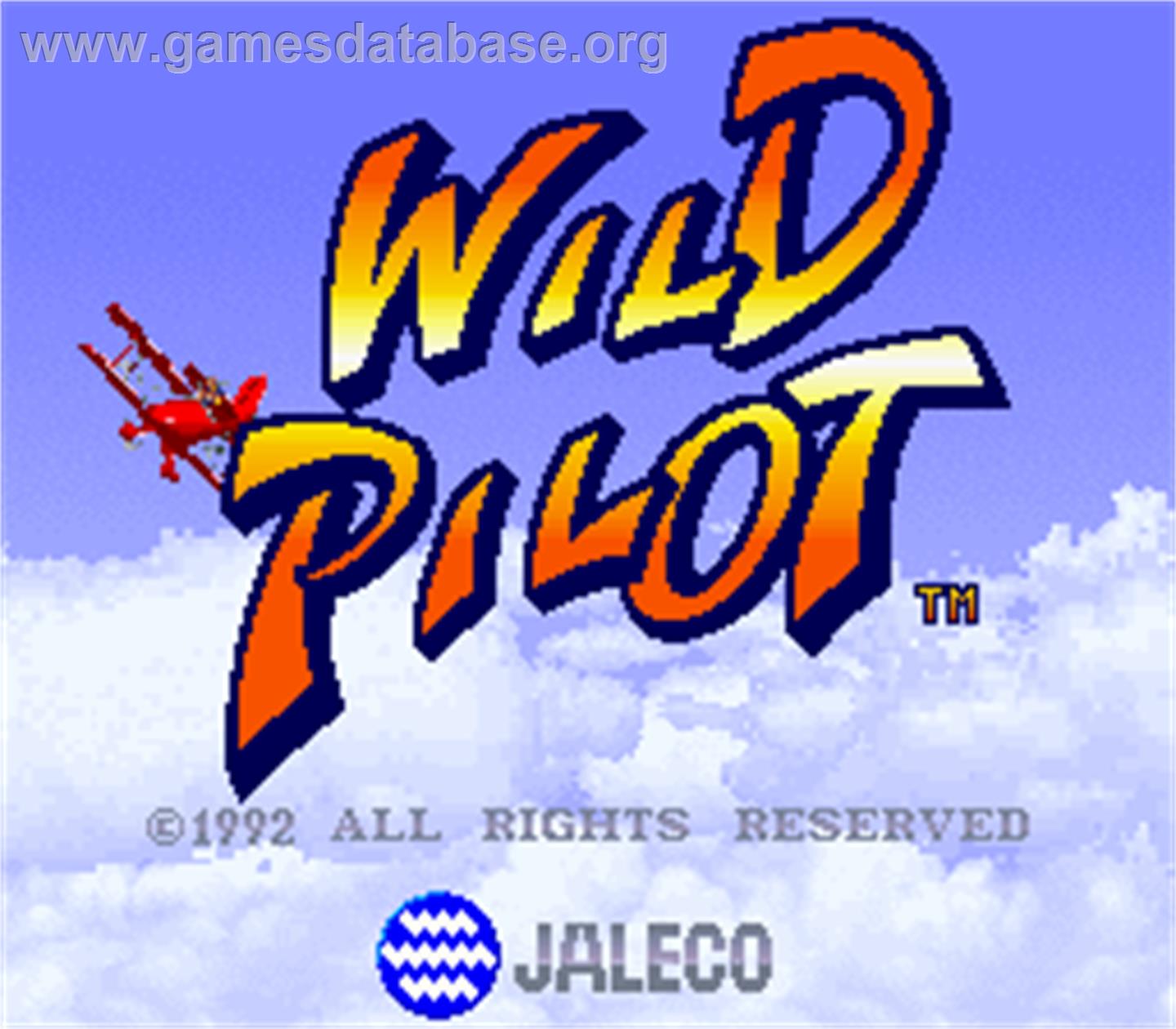 Wild Pilot - Arcade - Artwork - Title Screen