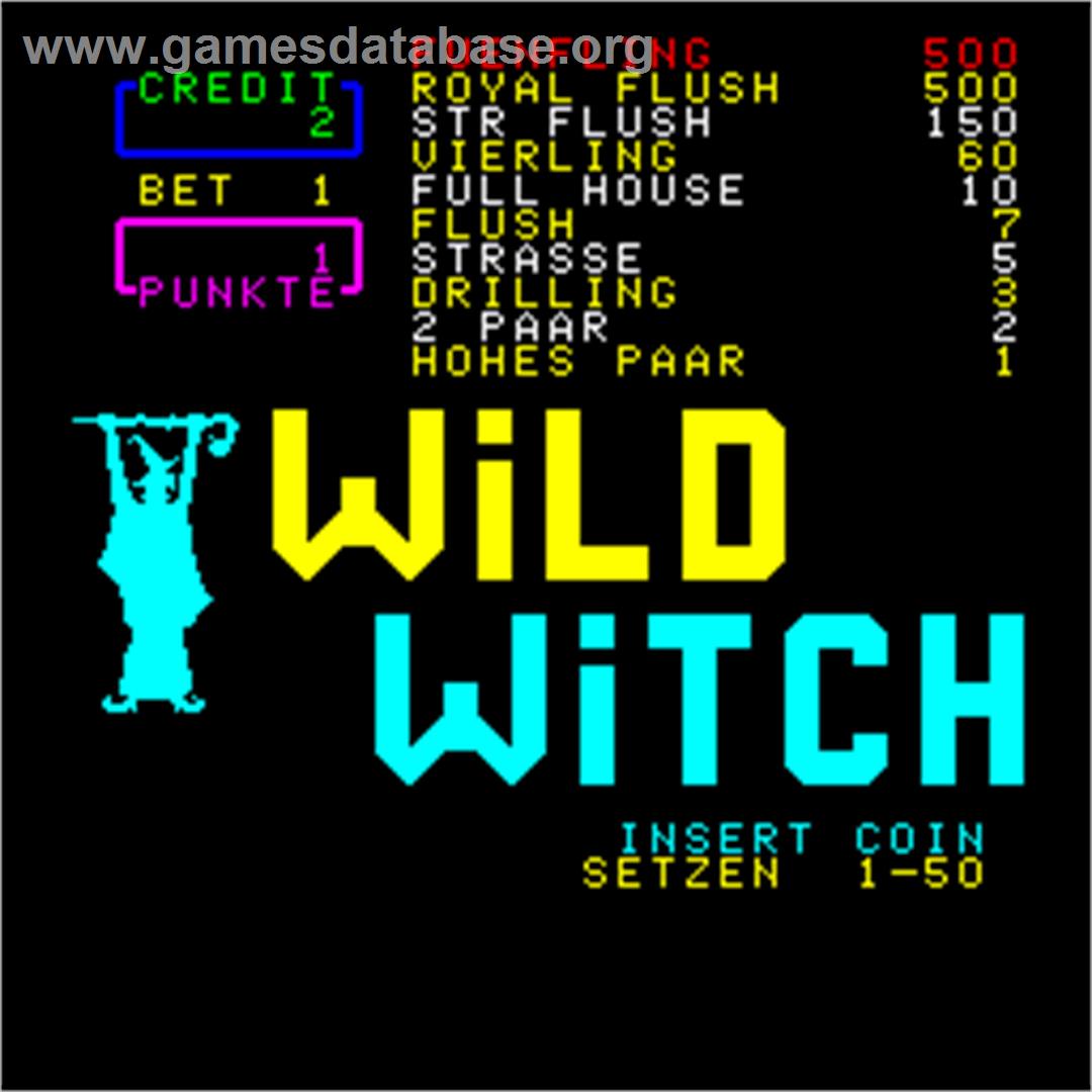 Wild Witch - Arcade - Artwork - Title Screen