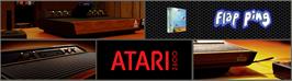 Arcade Cabinet Marquee for Flapping.
