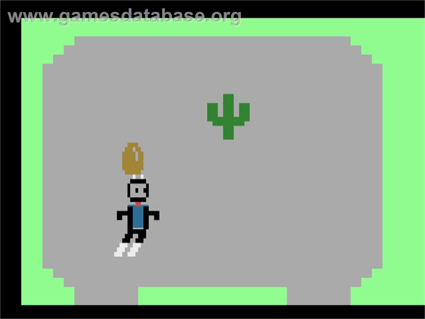 Duck Attack - Atari 2600 - Artwork - In Game