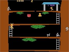 In game image of Kangaroo on the Atari 5200.