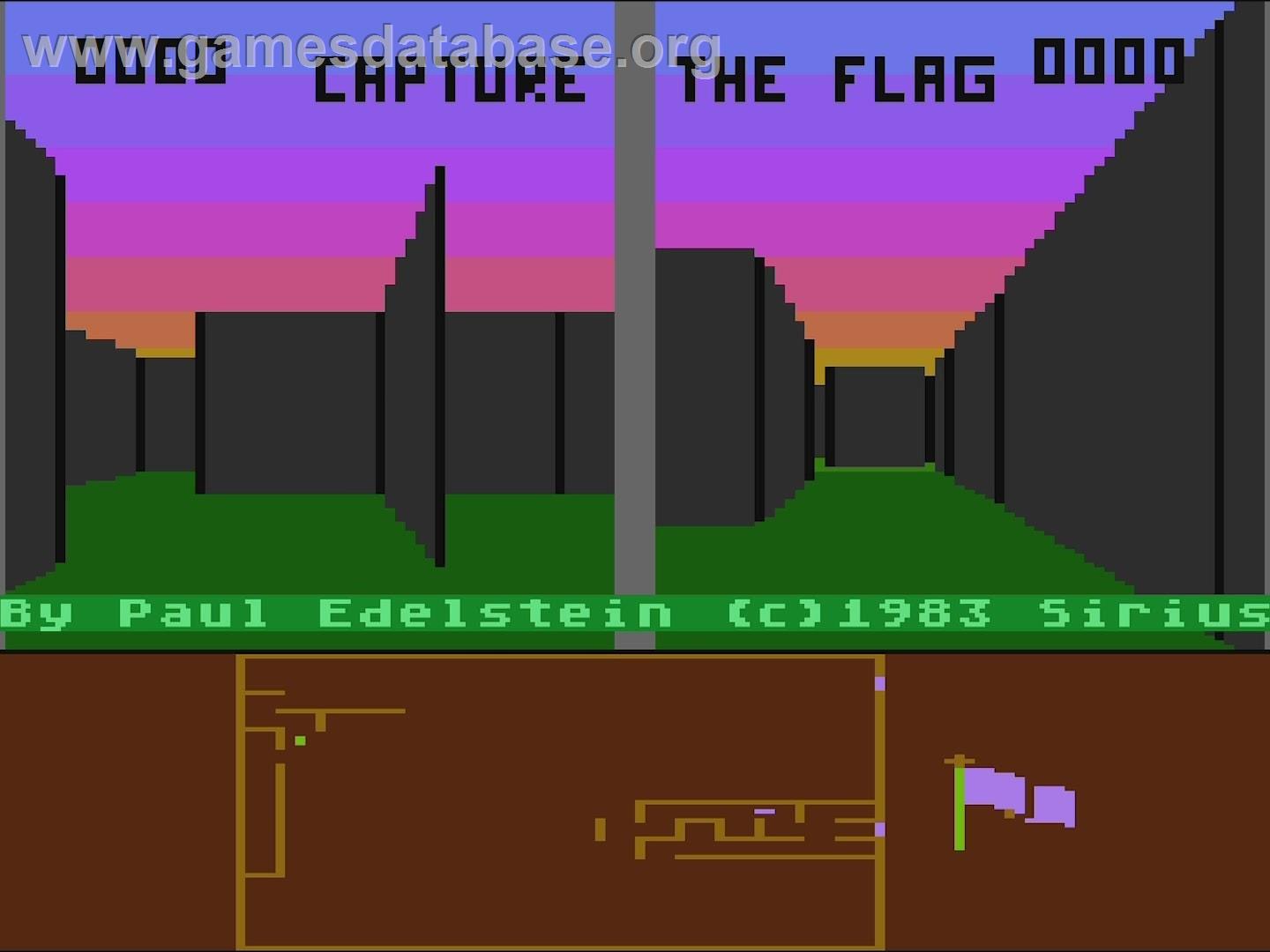 Capture the Flag - Atari 5200 - Artwork - In Game