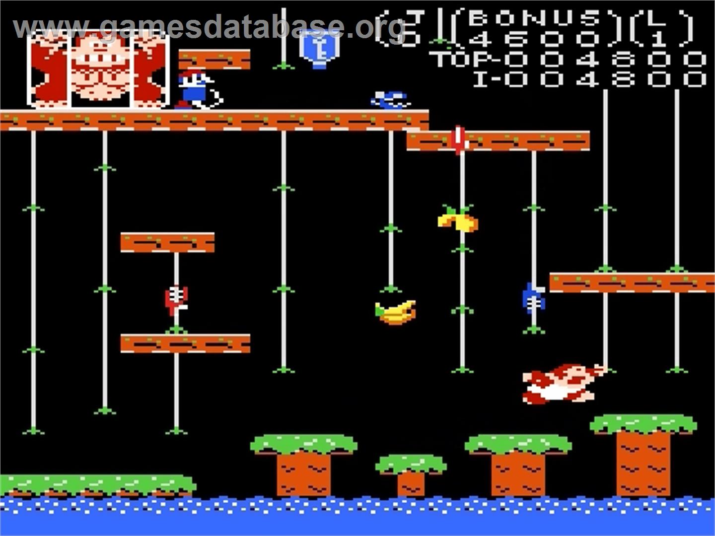 Donkey Kong Junior - Atari 7800 - Artwork - In Game