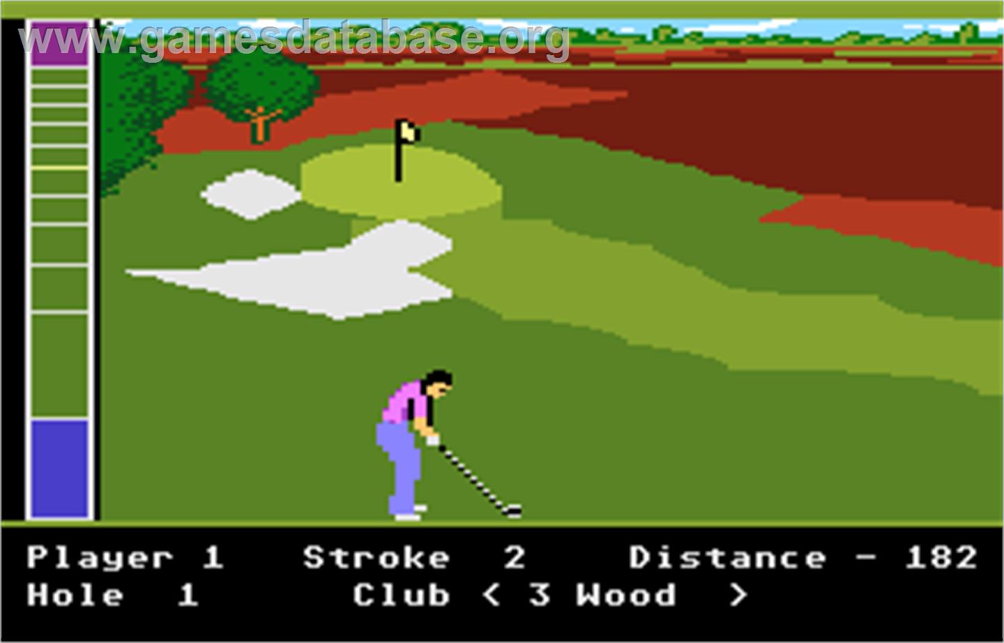 Mean 18 Golf - Atari 7800 - Artwork - In Game