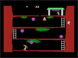 In game image of Kangaroo on the Atari 8-bit.