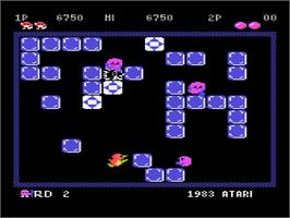 In game image of Pengo on the Atari 8-bit.