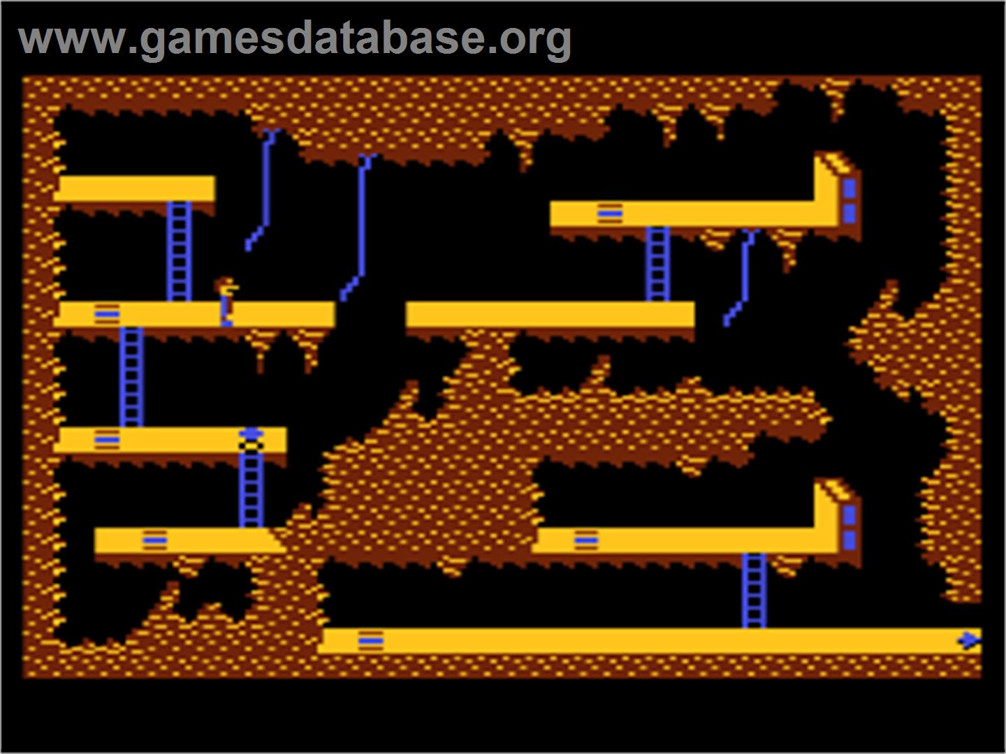 Adventurer, The - Atari 8-bit - Artwork - In Game