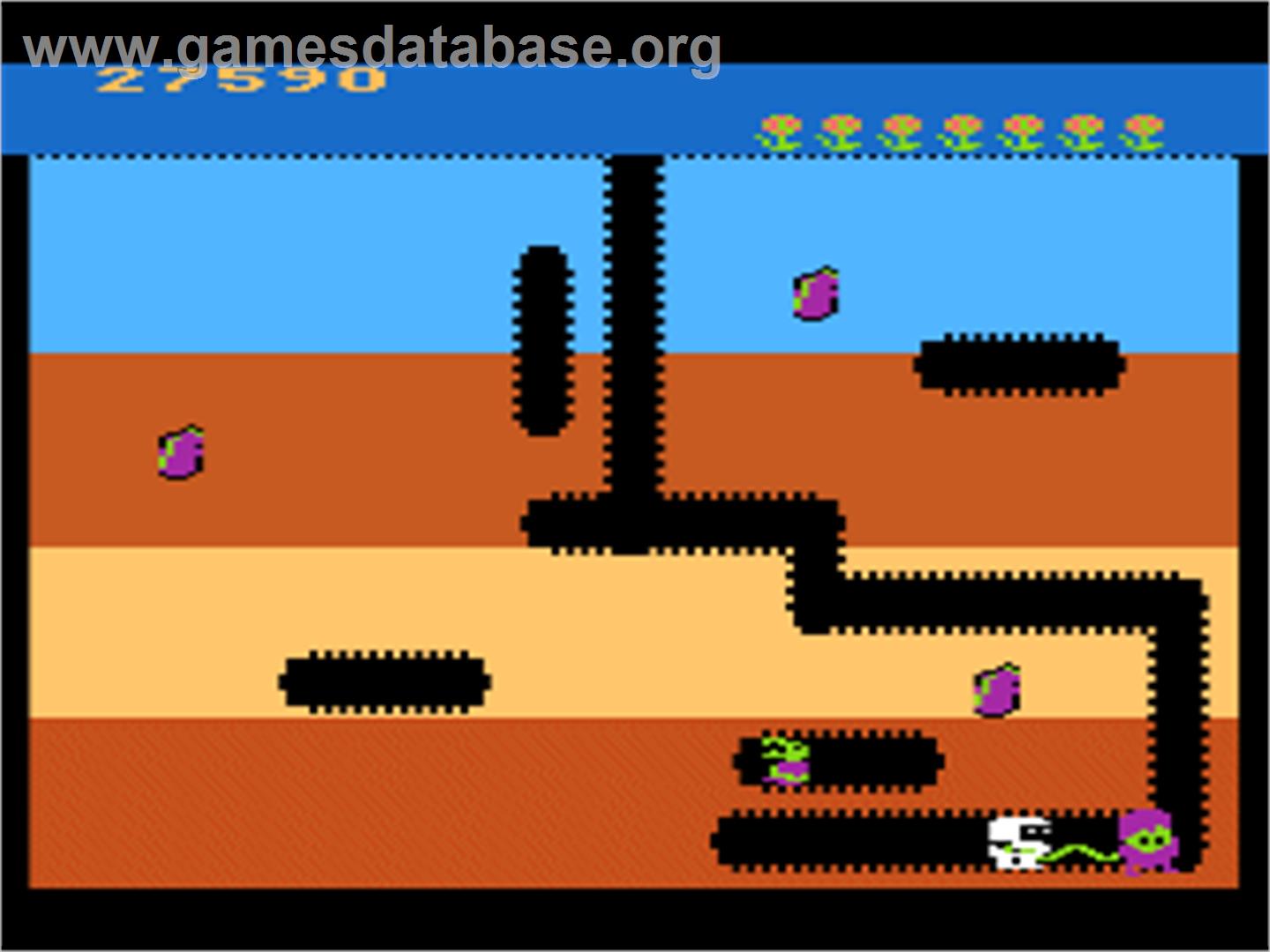 Dig Dug - Atari 8-bit - Artwork - In Game