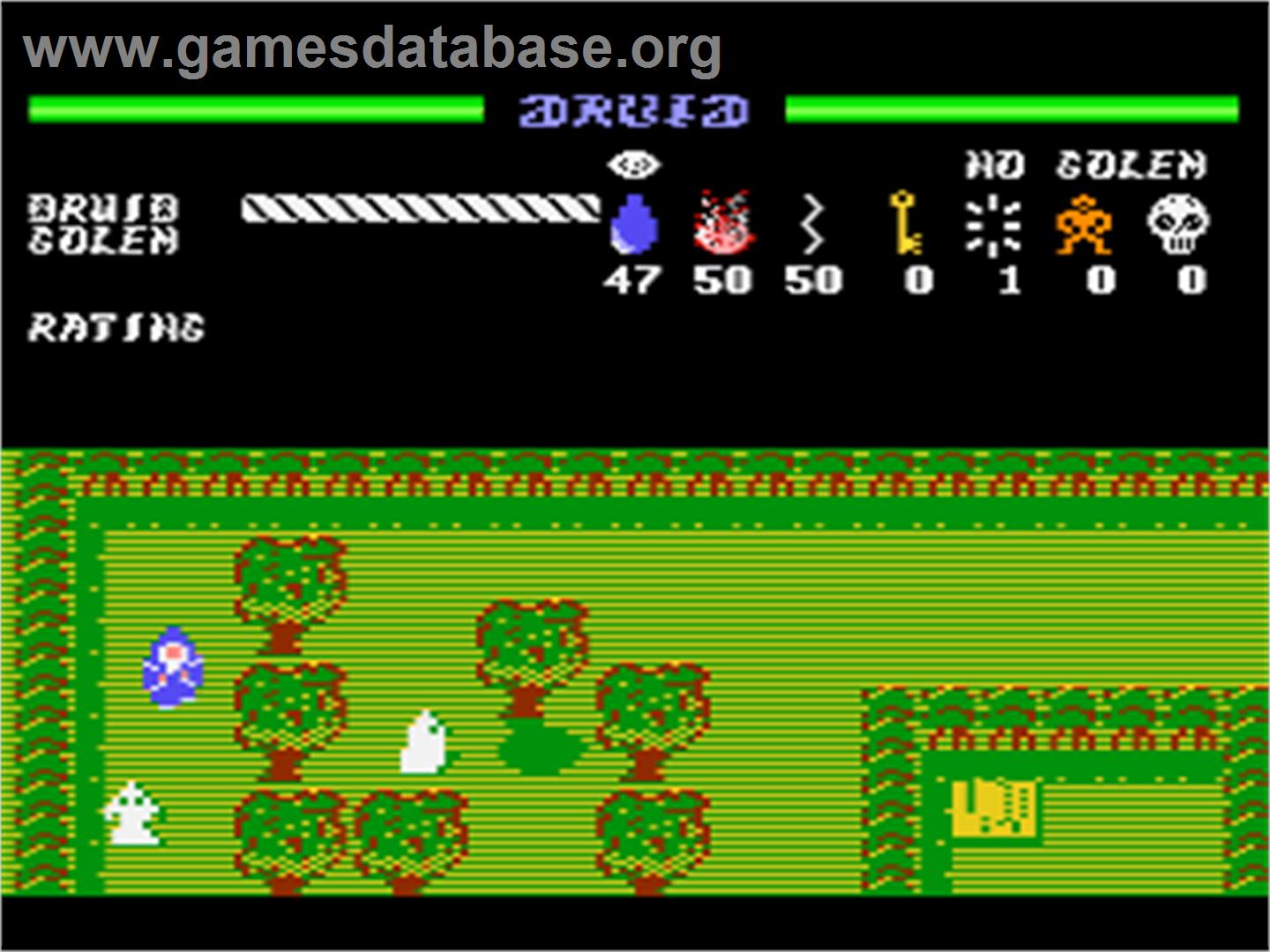 Druid - Atari 8-bit - Artwork - In Game