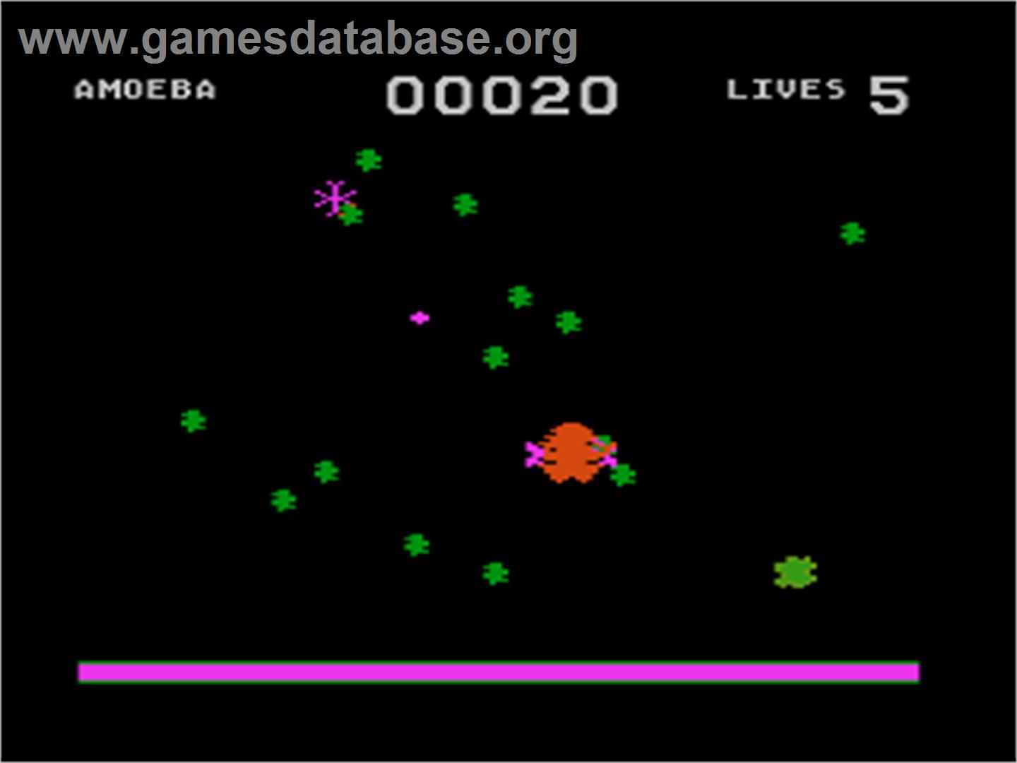 Evolution - Atari 8-bit - Artwork - In Game