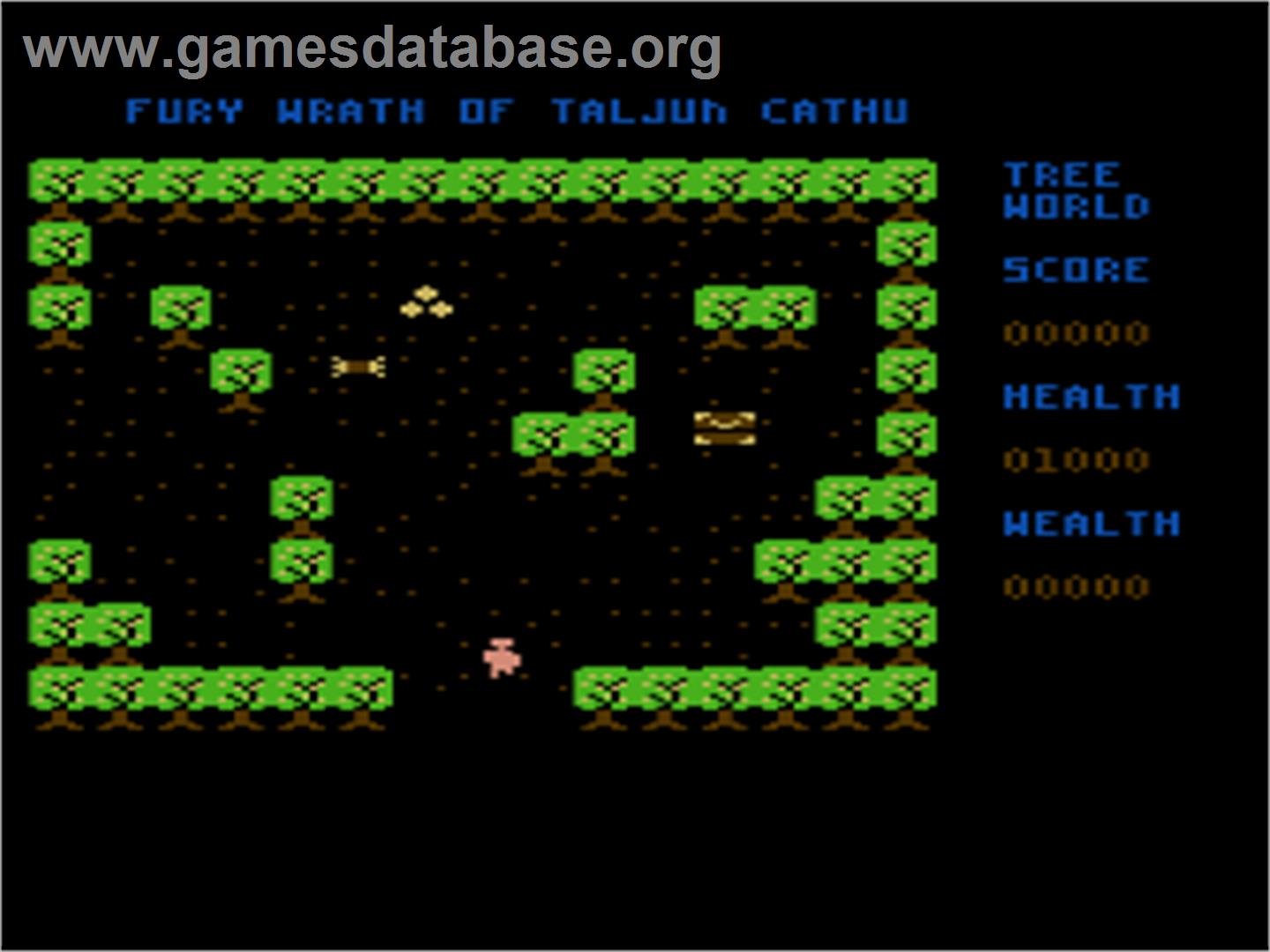 Fury - The Wrath Of Taljun Cathu - Atari 8-bit - Artwork - In Game