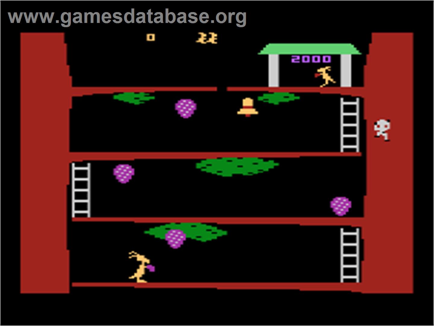 Kangaroo - Atari 8-bit - Artwork - In Game