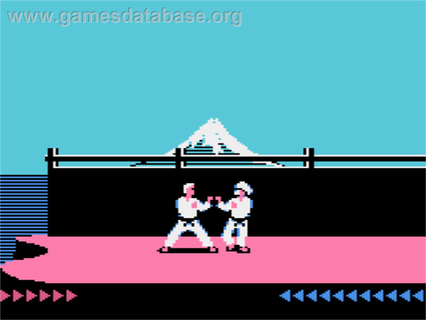 Karateka - Atari 8-bit - Artwork - In Game