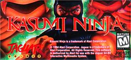 Top of cartridge artwork for Kasumi Ninja on the Atari Jaguar.