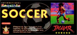Top of cartridge artwork for Sensible Soccer: International Edition on the Atari Jaguar.