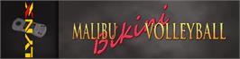 Arcade Cabinet Marquee for Malibu Bikini Volleyball.
