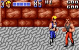 In game image of Double Dragon on the Atari Lynx.