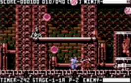 In game image of Ninja Gaiden III: The Ancient Ship of Doom on the Atari Lynx.