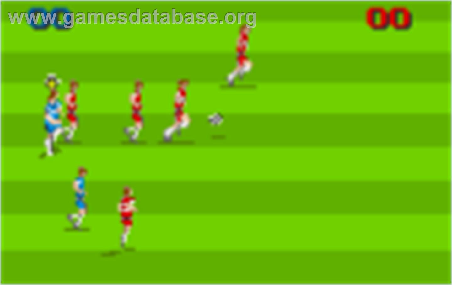 World Class Soccer - Atari Lynx - Artwork - In Game