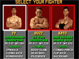 In game image of Pit-Fighter on the Atari ST.