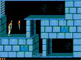 In game image of Prince Of Persia on the Atari ST.