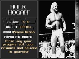 In game image of WWF European Rampage Tour on the Atari ST.