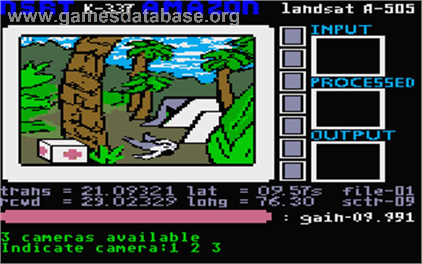 Amazon - Atari ST - Artwork - In Game