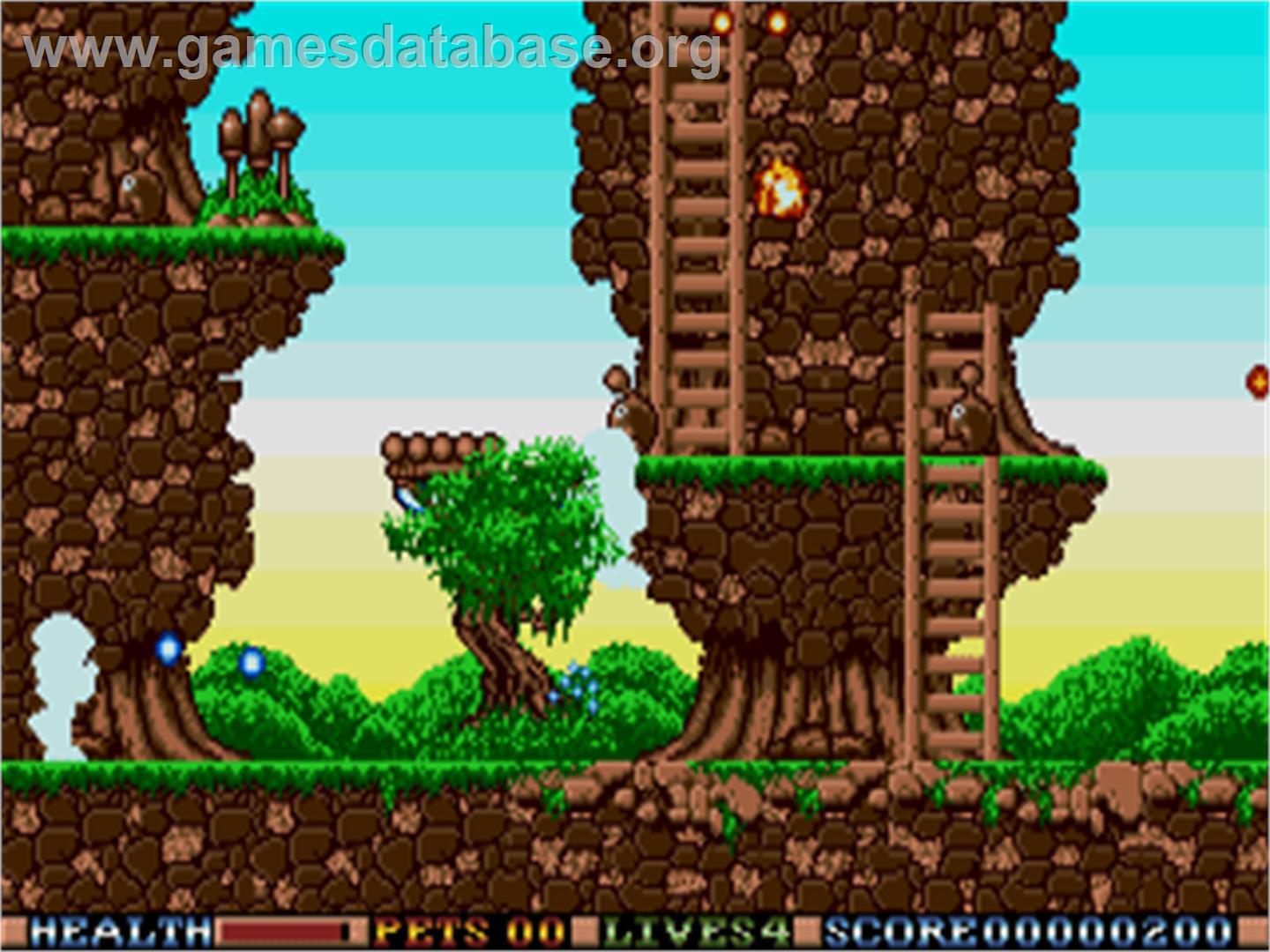 Elf (MicroValue) - Atari ST - Artwork - In Game
