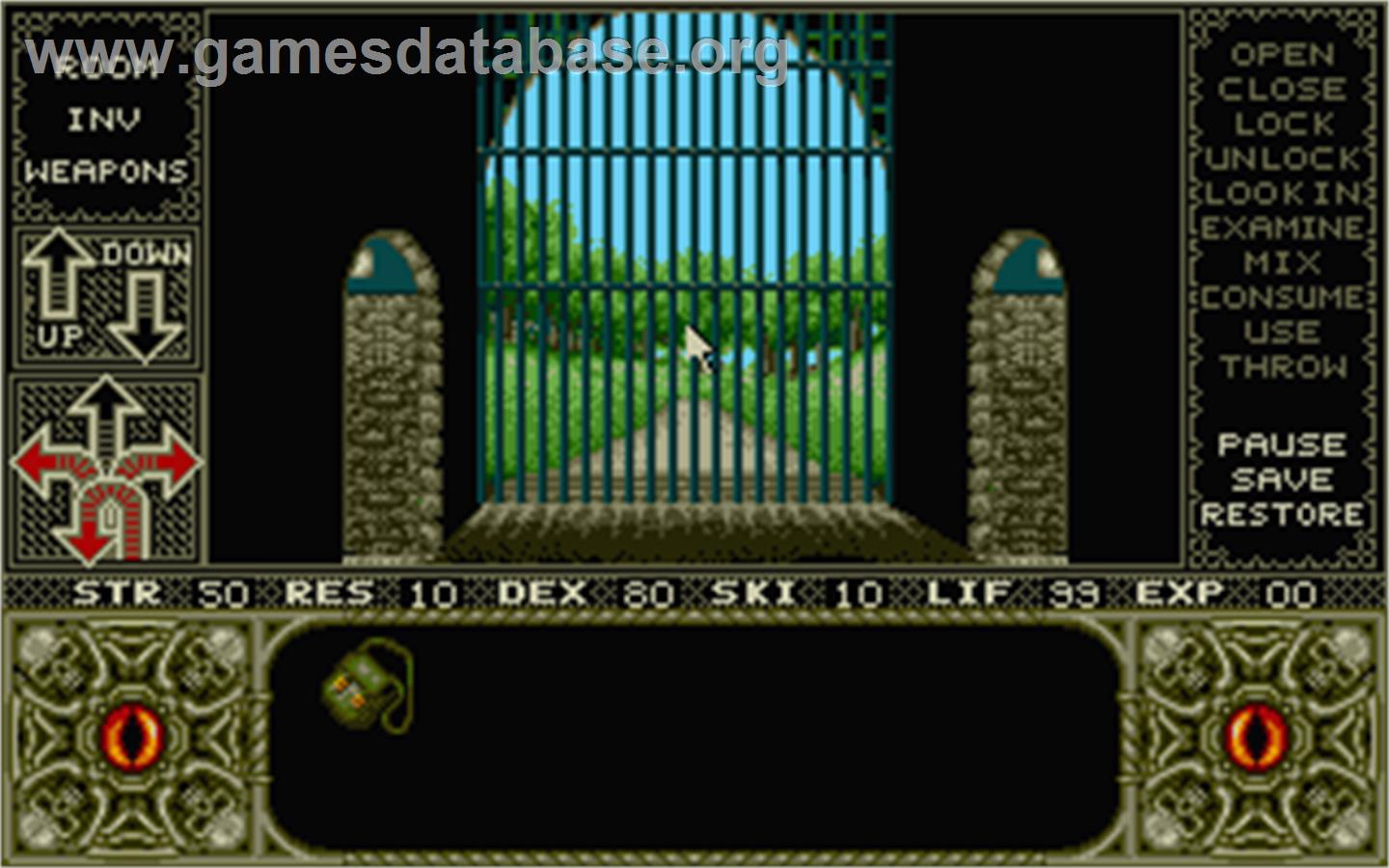 Elvira: Mistress of the Dark - Atari ST - Artwork - In Game