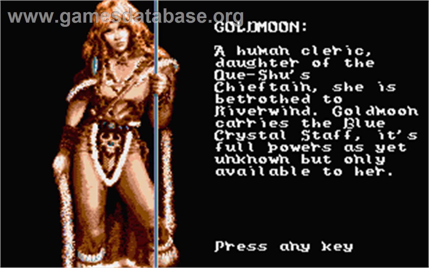 Heroes of the Lance - Atari ST - Artwork - In Game