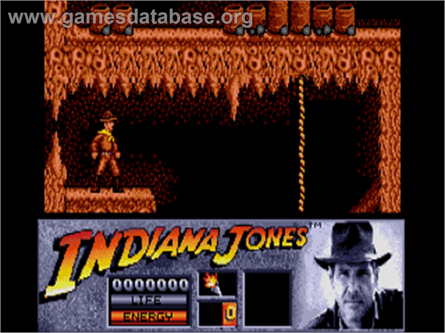 Indiana Jones And The Last Crusade - The Action Game - Atari ST - Artwork - In Game