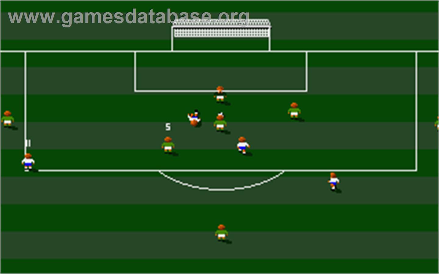 Kenny Dalglish Soccer Match - Atari ST - Artwork - In Game