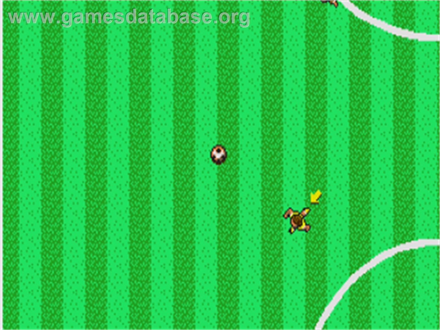 Microprose Soccer - Atari ST - Artwork - In Game