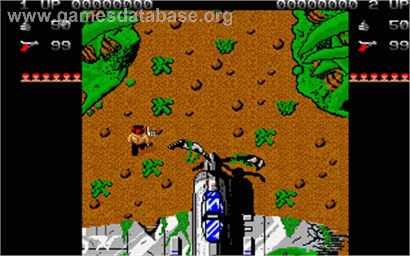 Ninja Warriors, The - Atari ST - Artwork - In Game