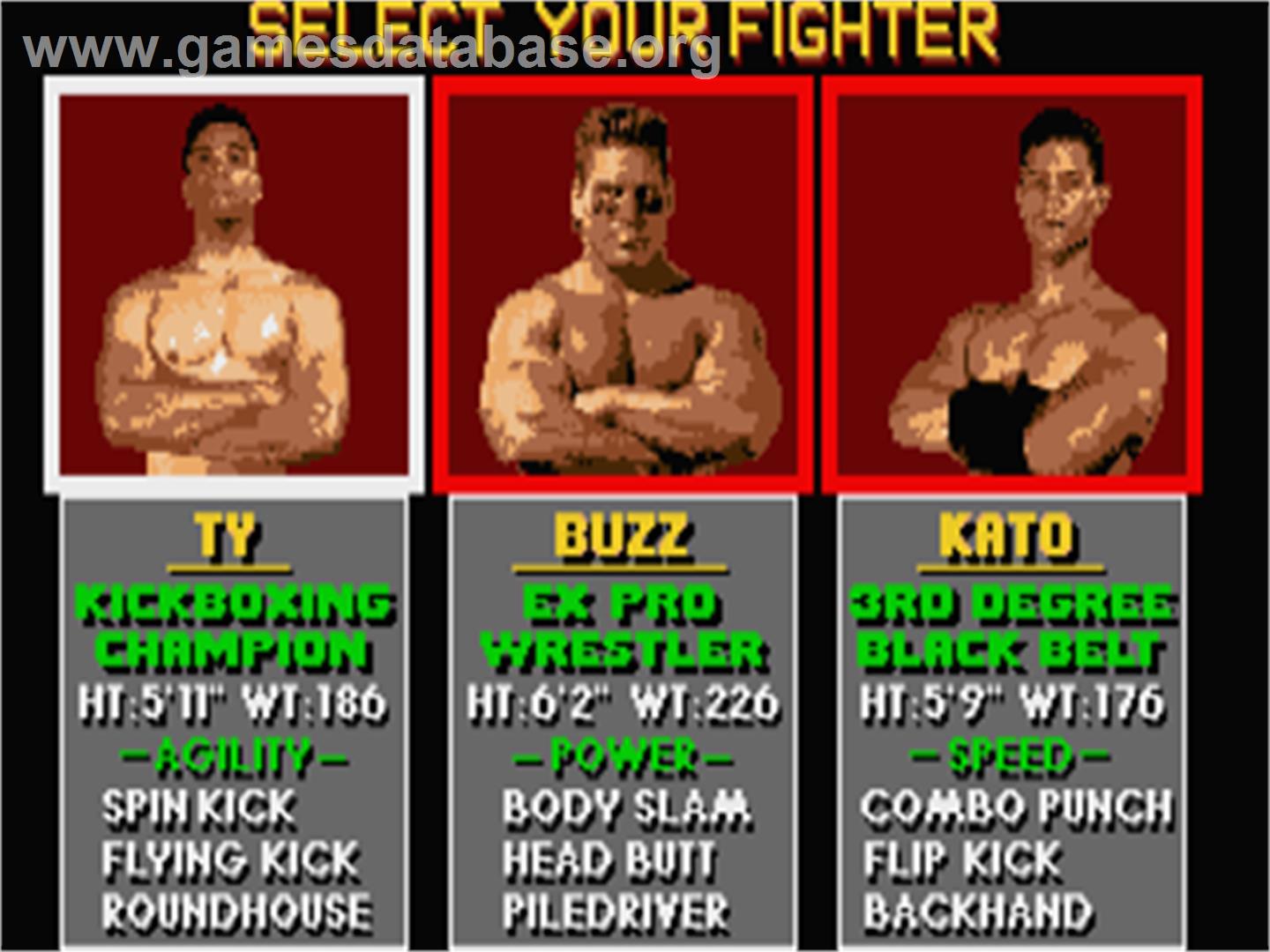 Pit-Fighter - Atari ST - Artwork - In Game