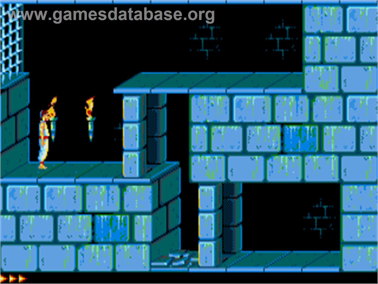 Prince Of Persia - Atari ST - Artwork - In Game