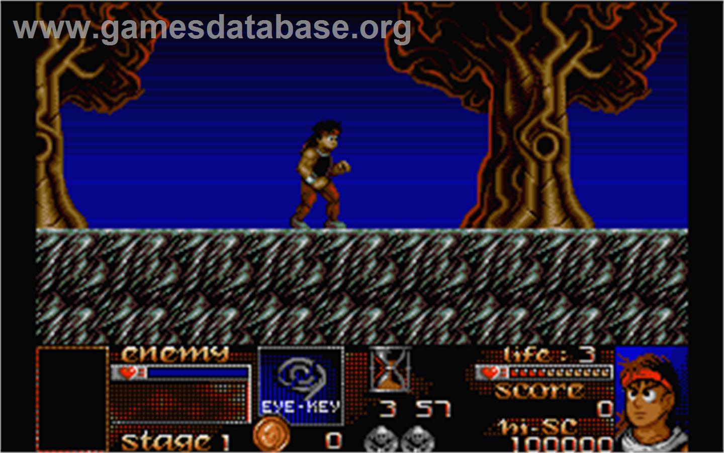Risky Woods - Atari ST - Artwork - In Game