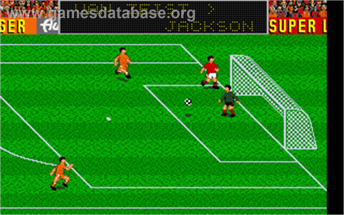 Robin Smith's International Cricket - Atari ST - Artwork - In Game