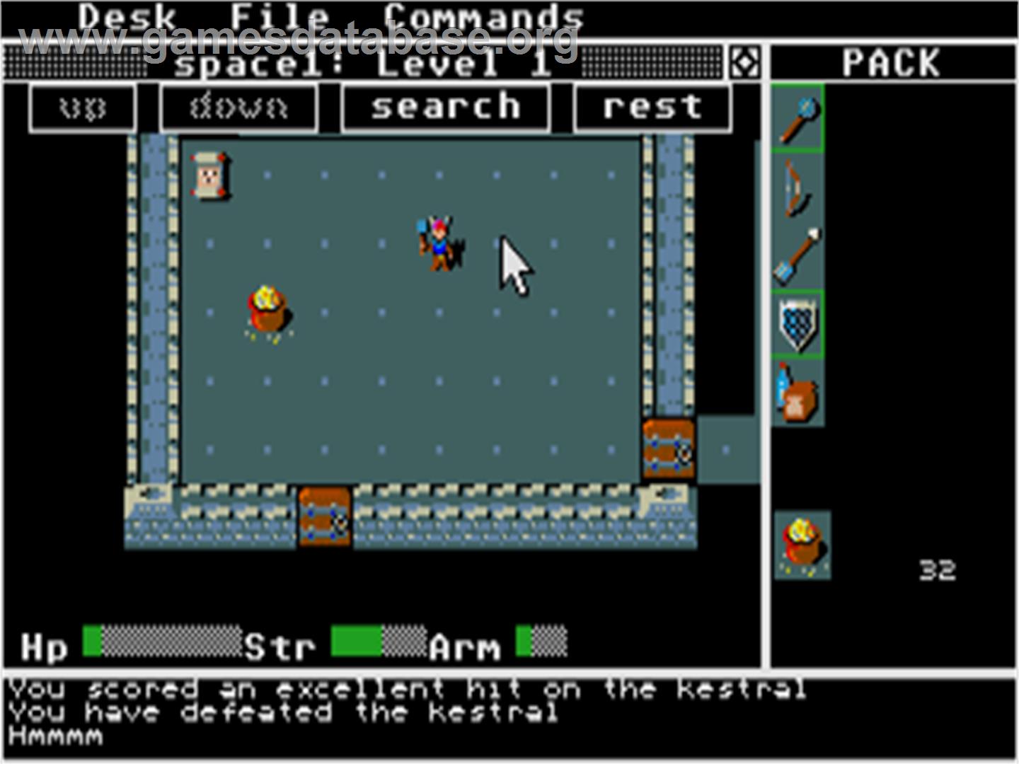 Rogue - Atari ST - Artwork - In Game