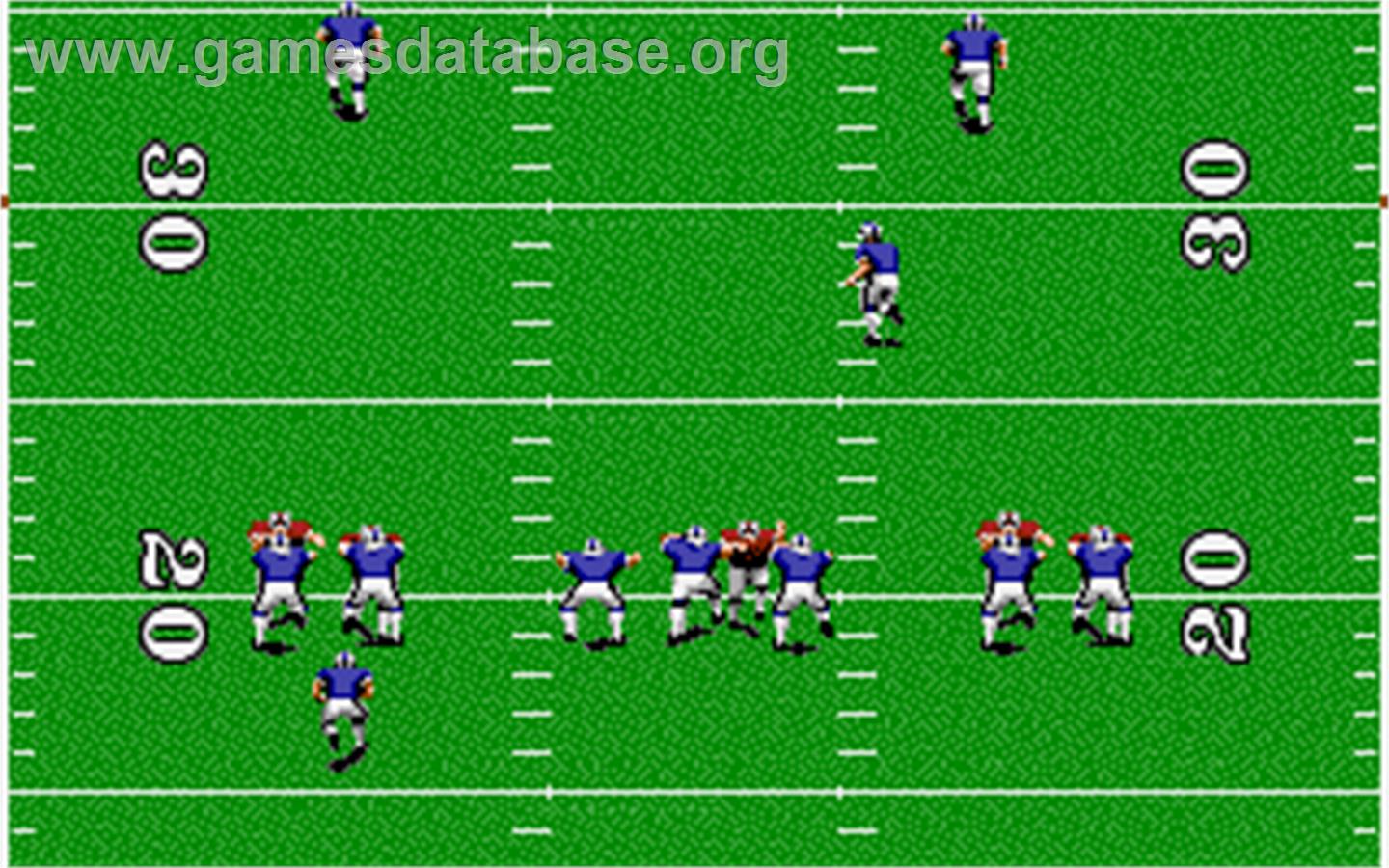 TV Sports Football - Atari ST - Artwork - In Game