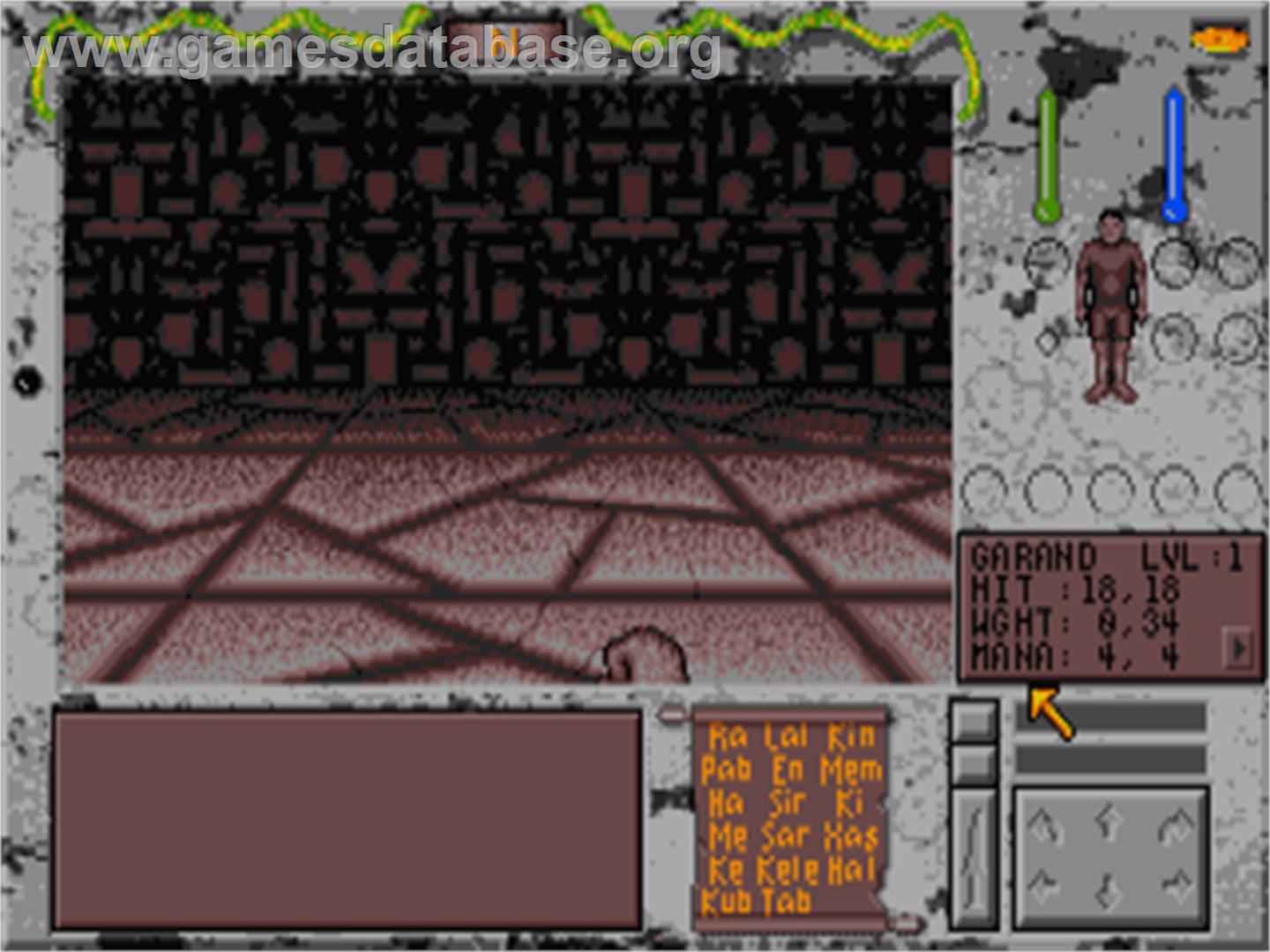 Towers - Lord Baniff's Deceit - Atari ST - Artwork - In Game